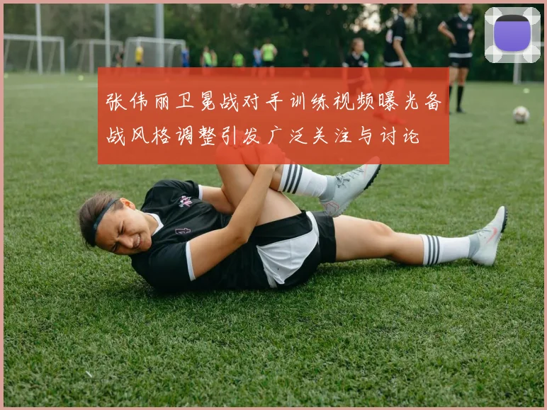 张伟丽卫冕战对手训练视频曝光备战风格调整引发广泛关注与讨论