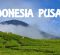 chord indonesia pusaka